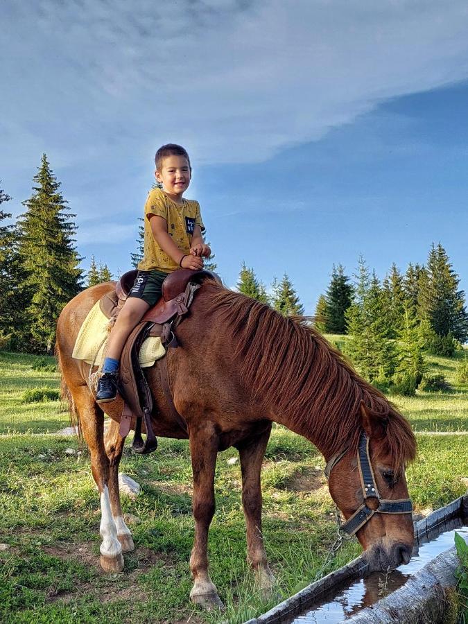 Cottage Uskoci Zabljak  Bagian luar foto